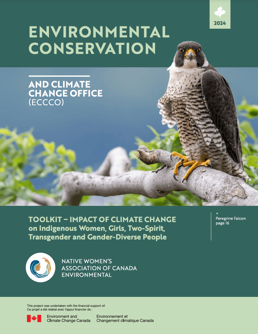 Screenshot 2024-03-13 at 3.57.24 PM