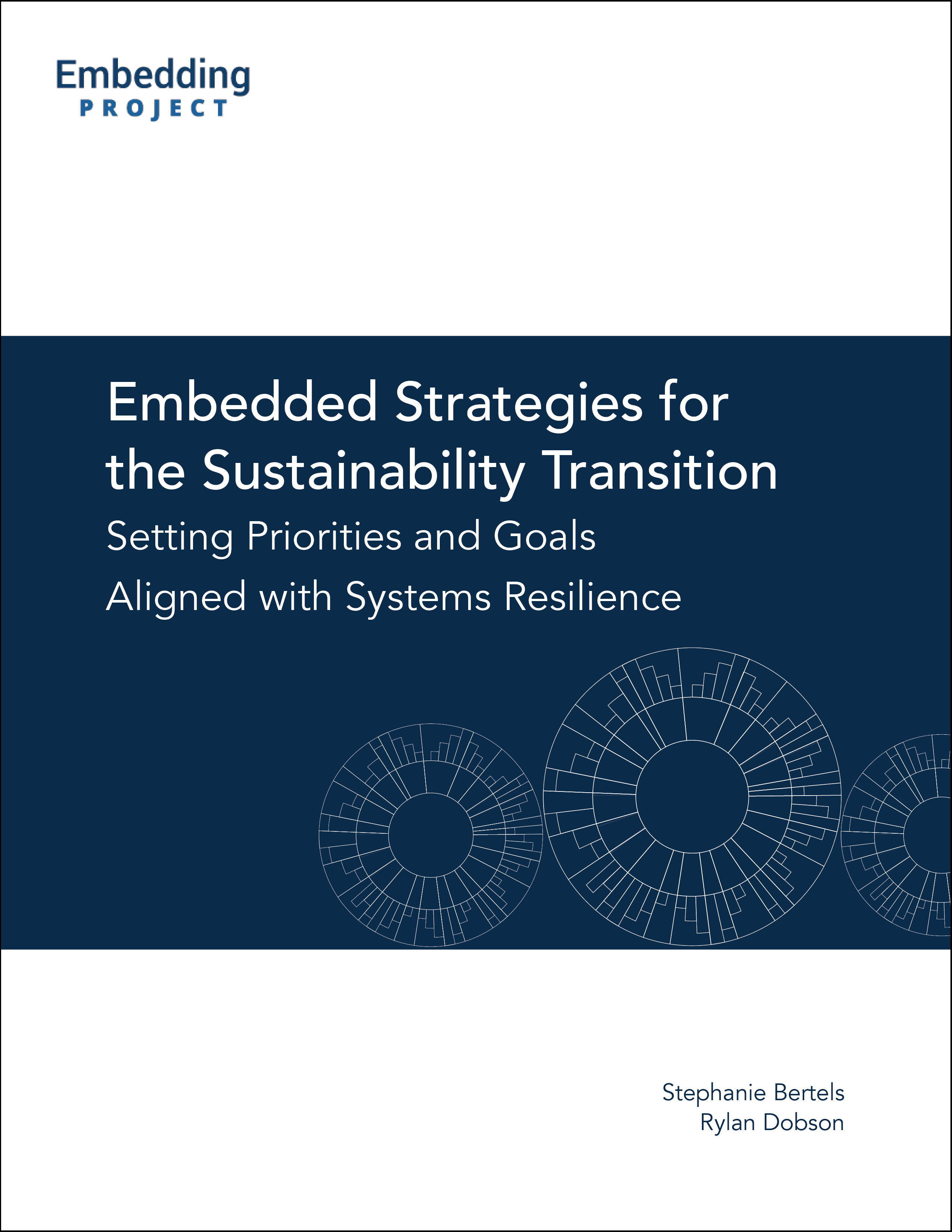 2020 05 22 Embedded Strategies & Goals Guide-front cover