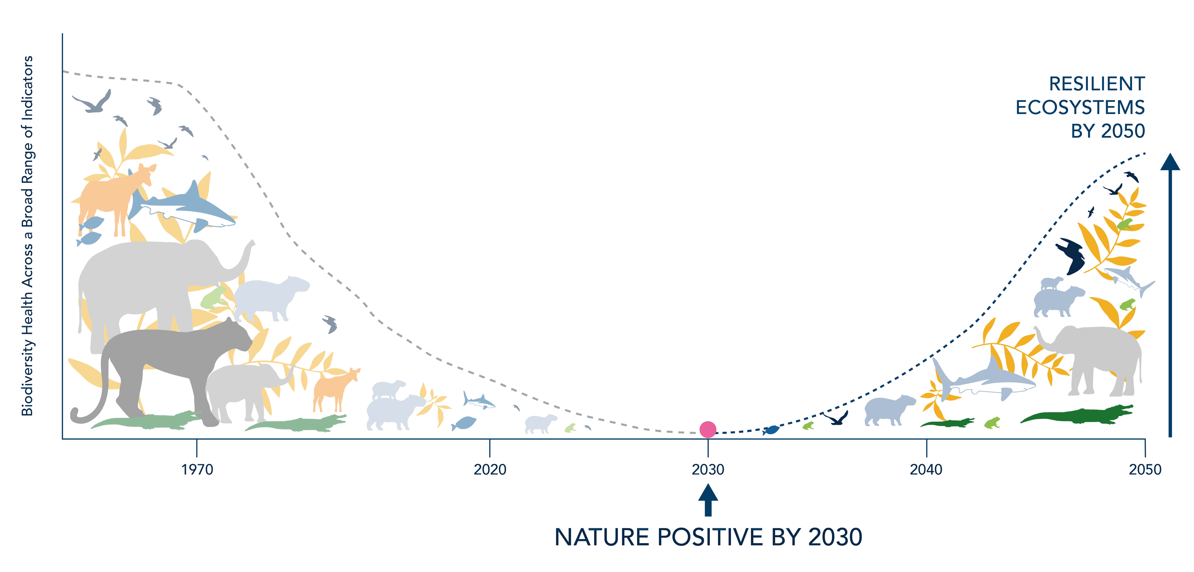 Reversing Ecosystems Decline