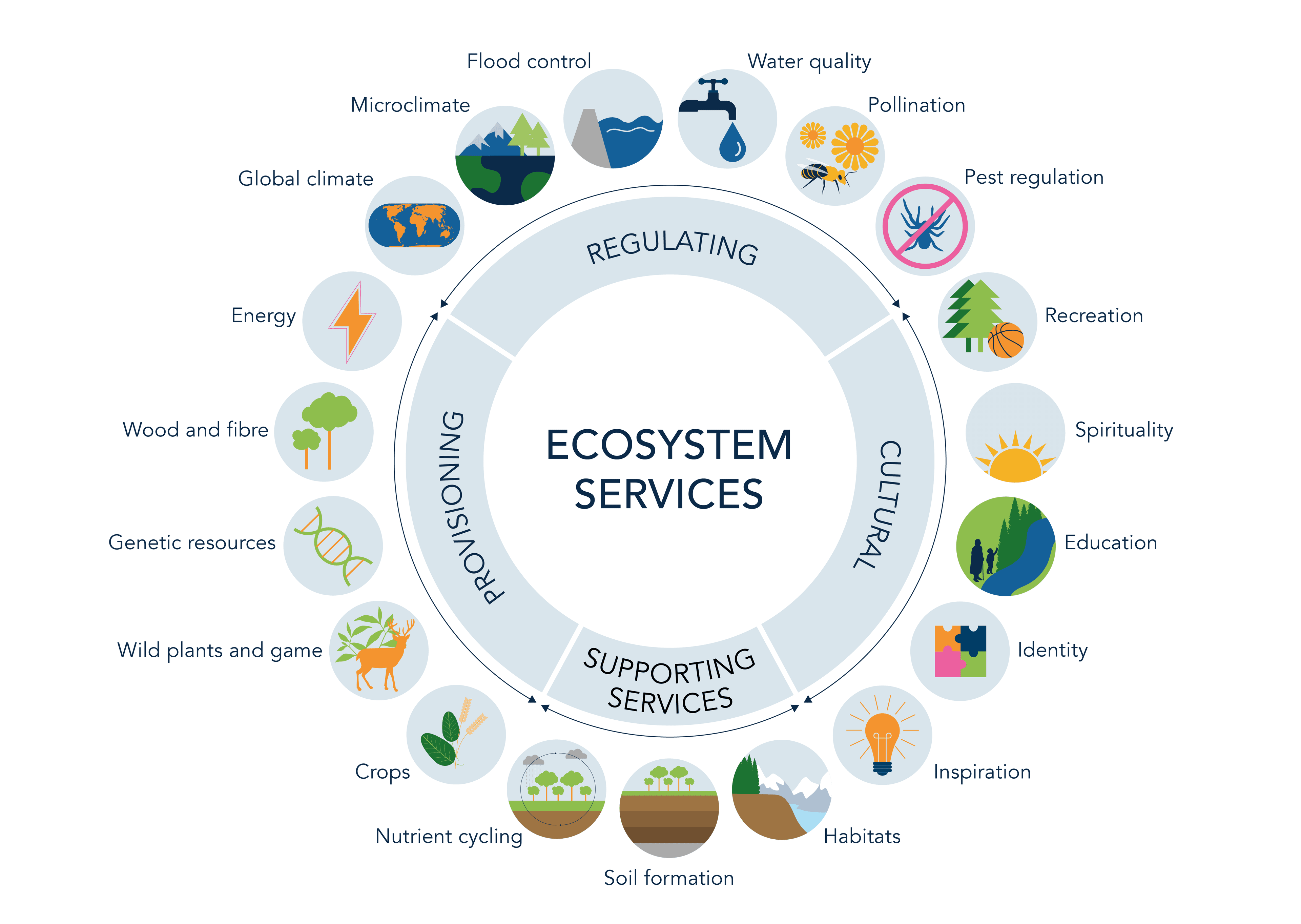 Ecosystem Services
