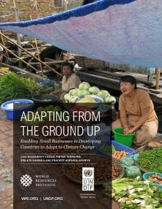 Adapting From The Ground Up 0