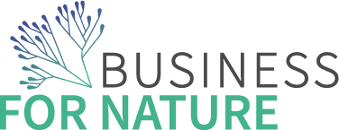 BFN LOGO RGB