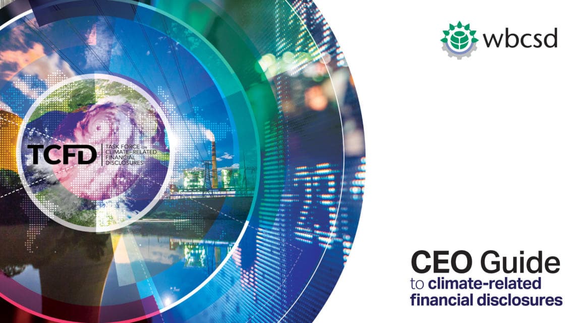 CEO-Guide-to-climate-related-financial-disclosures1 i1140