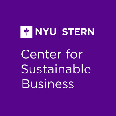 nyu stern csb