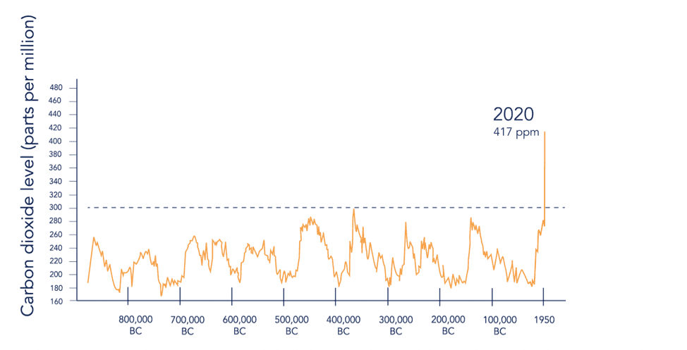 Carbon Dioxide Levels