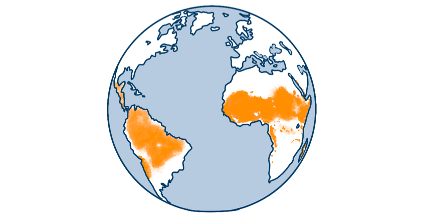 The warming globe