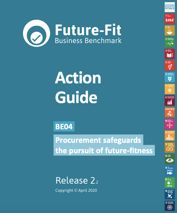 Future-Fit Procurement Guide