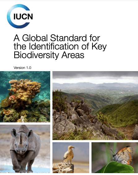 Screen Shot 2022-01-26 at 6.00.46 PM