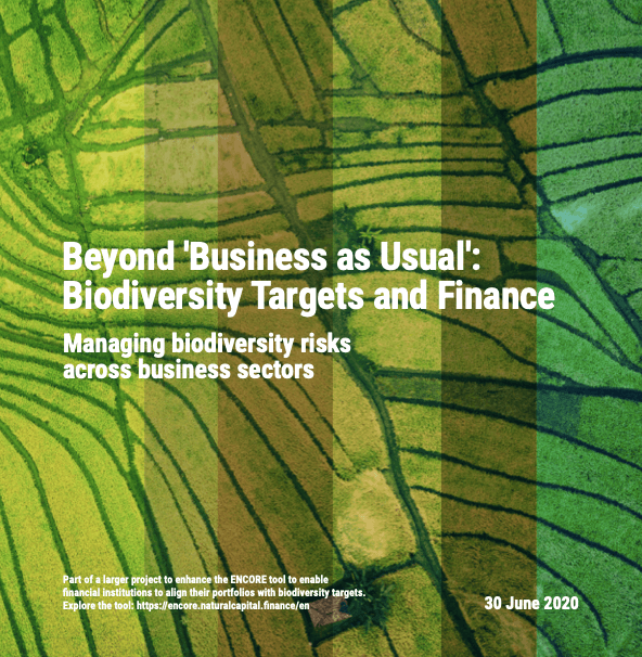 Screen Shot 2022-05-06 at 9.33.45 AM