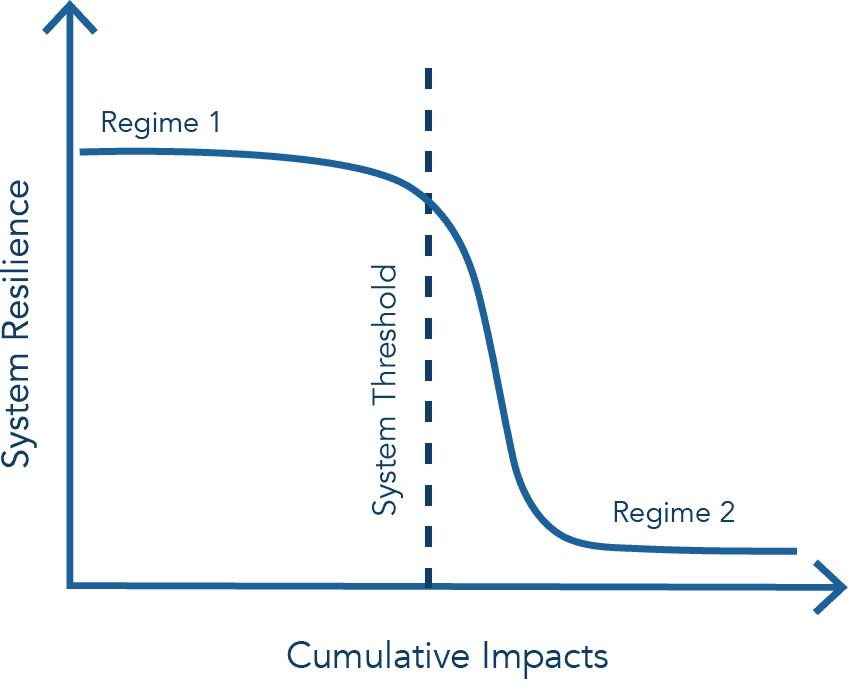 Cumulative Impacts