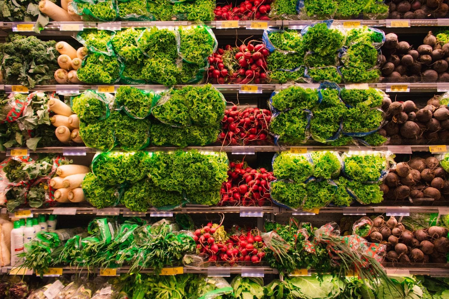 four strategies food waste