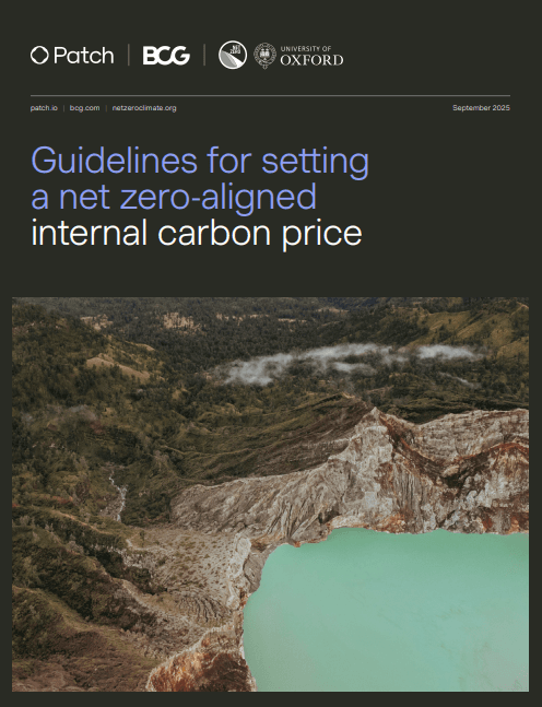 Guidelines for setting a net zero-aligned internal carbon price cover