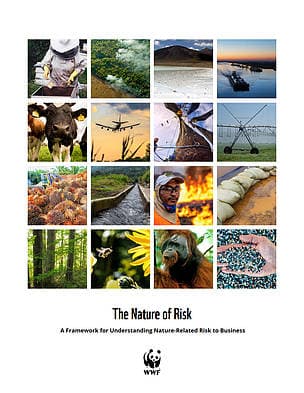 The Nature of Risk