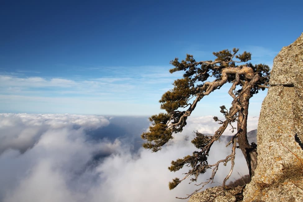 Image by fogcatcher on Shutterstock