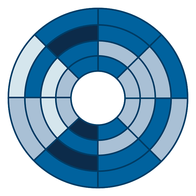 Prioritisation radar chart
